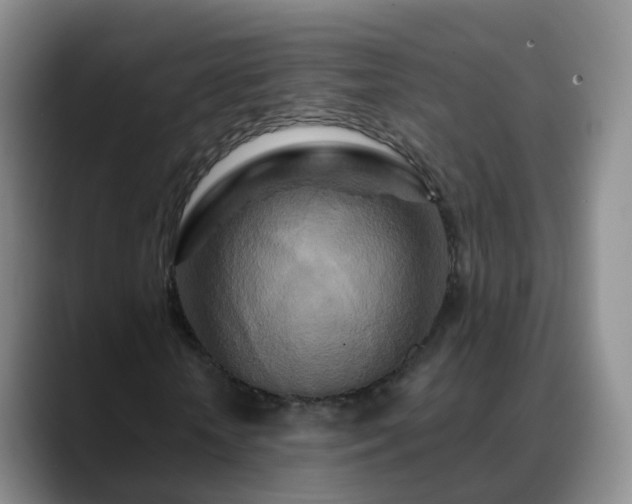 X0000088880818200706151809