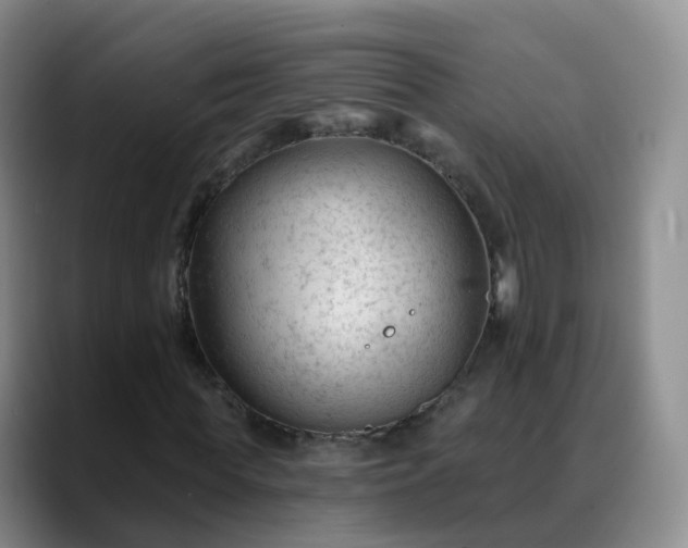 X0000088880819200706151809