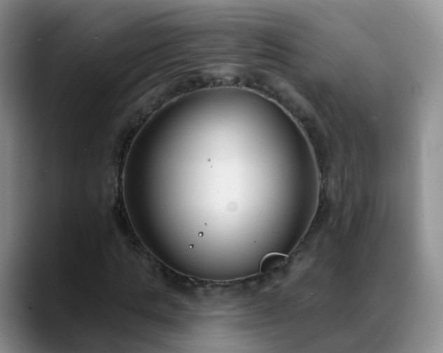 X0000088880821200706151810