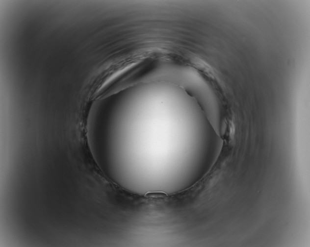 X0000088880822200706151810