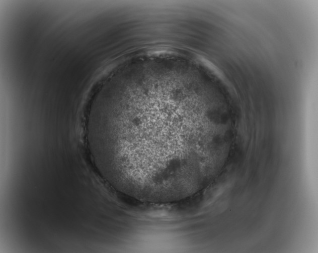 X0000088880823200706151810