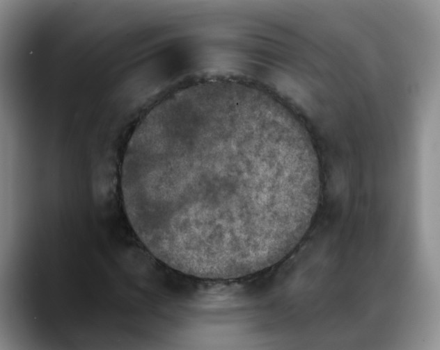 X0000088880824200706151810