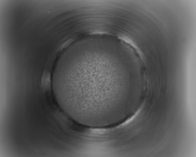 X0000088880825200706151810