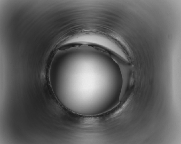 X0000088880826200706151810