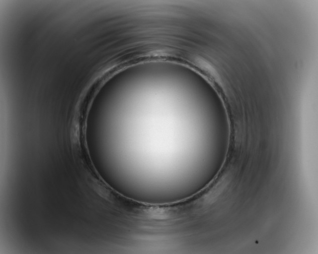 X0000088880827200706151810