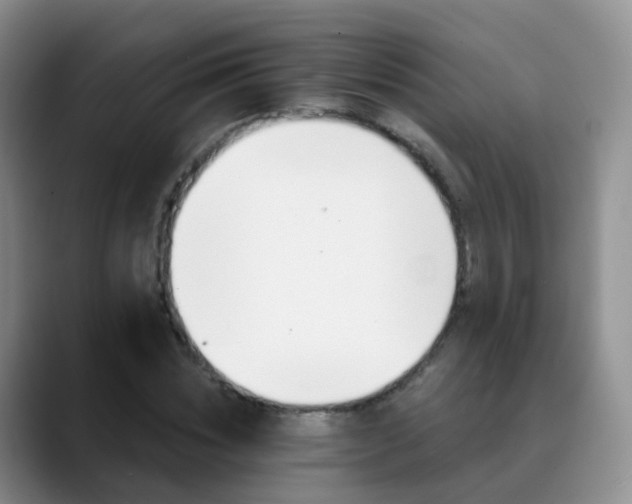 X0000088880828200706151810