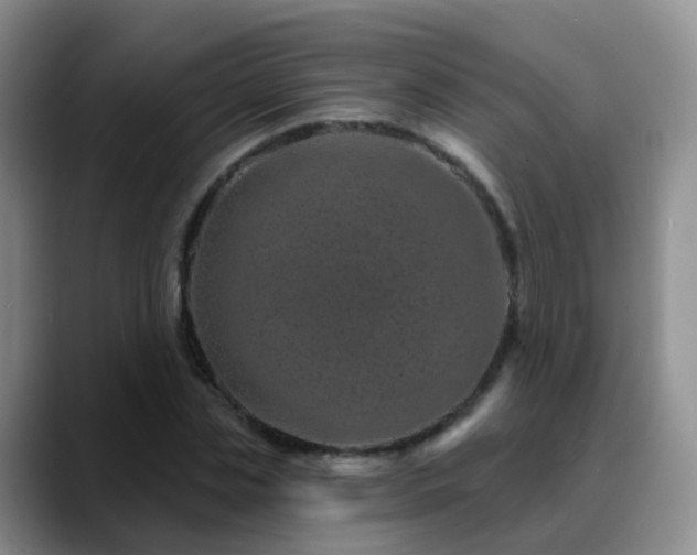 X0000088880829200706151810