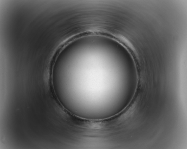 X0000088880831200706151810