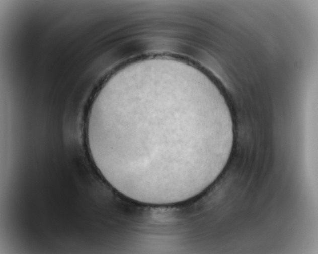 X0000088880832200706151810