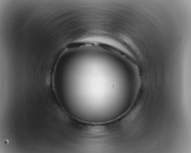 X0000088880833200706151810