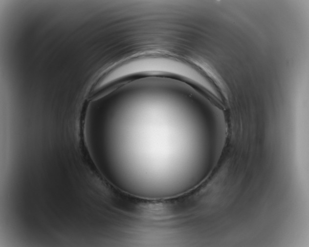 X0000088880834200706151810