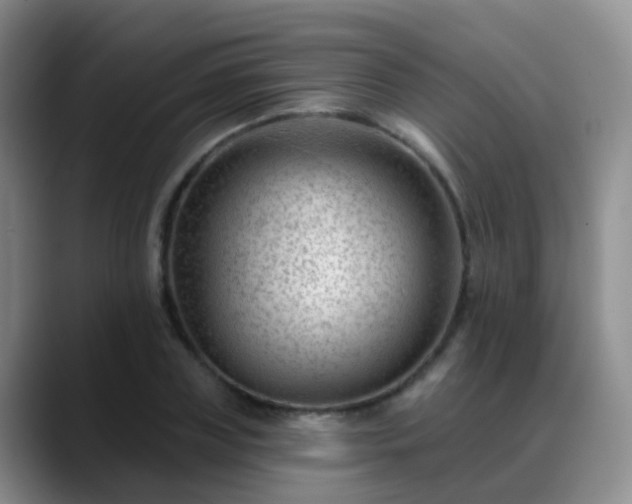 X0000088880835200706151810