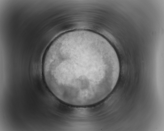 X0000088880836200706151810