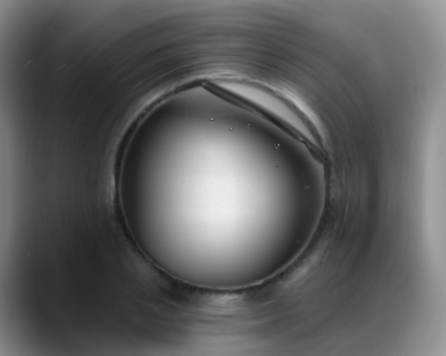 X0000088880837200706151810