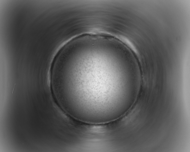 X0000088880839200706151810