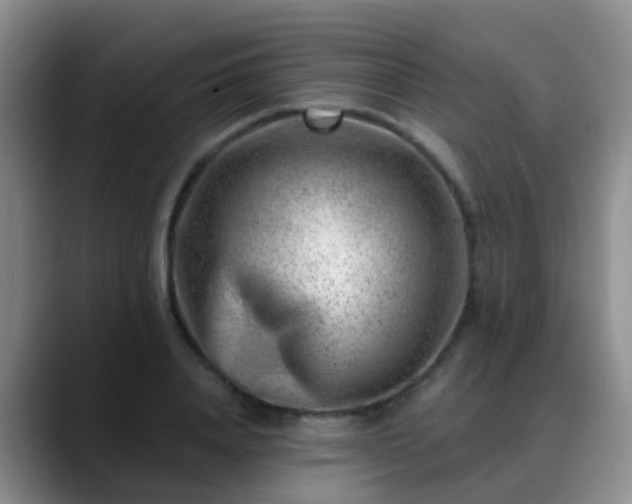 X0000088880840200706151810