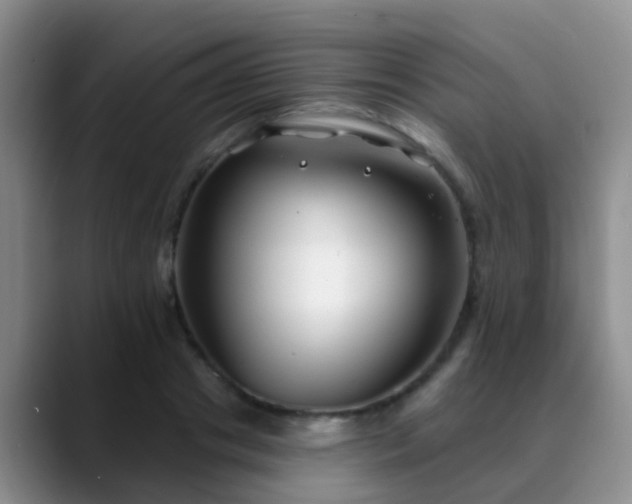 X0000088880841200706151810