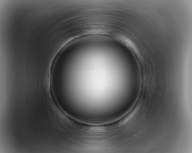 X0000088880844200706151810