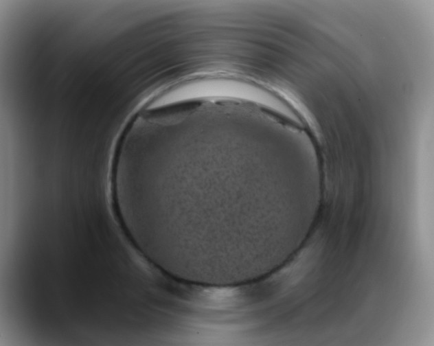 X0000088880845200706151810