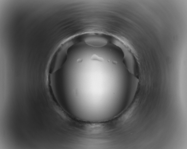 X0000088880846200706151810