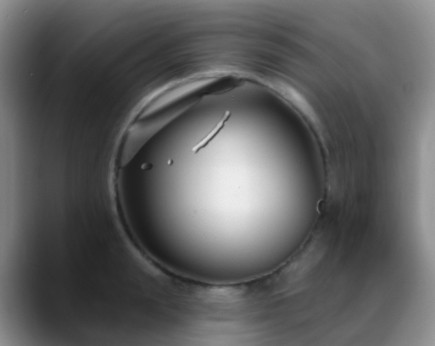 X0000088880847200706151810