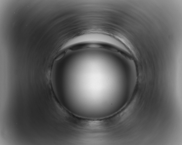 X0000088880849200706151810