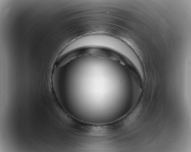 X0000088880850200706151810