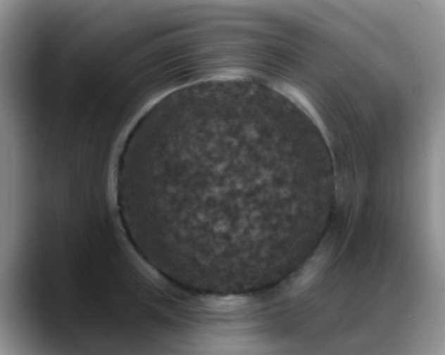 X0000088880851200706151810