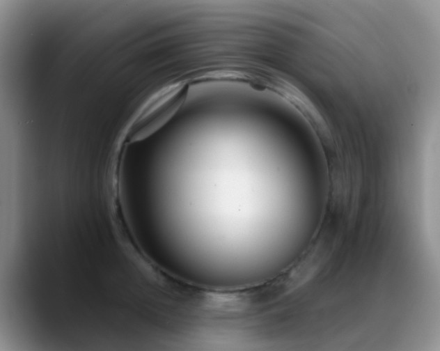 X0000088880852200706151810