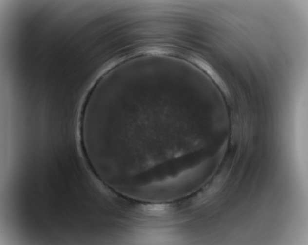 X0000088880853200706151810