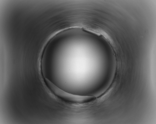 X0000088880854200706151810