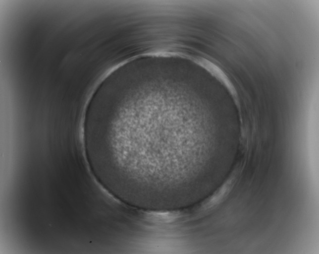 X0000088880855200706151810