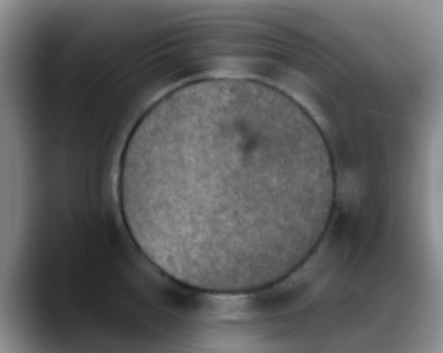 X0000088880856200706151810