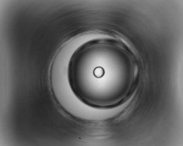 X0000088880858200706151810