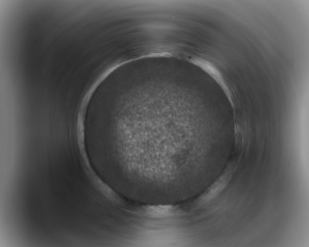 X0000088880859200706151810