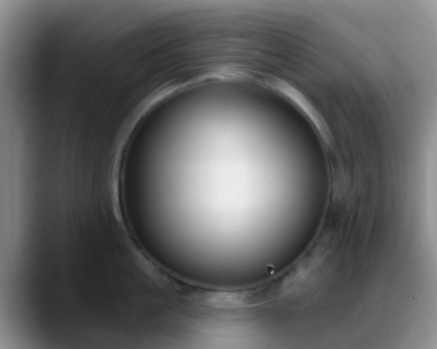 X0000088880861200706151810