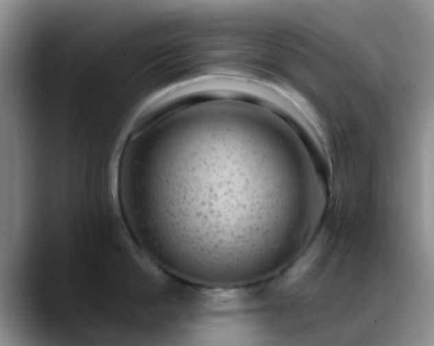 X0000088880862200706151810