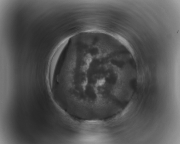 X0000088880863200706151810