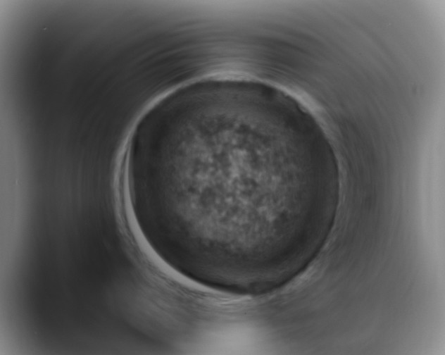 X0000088880864200706151810