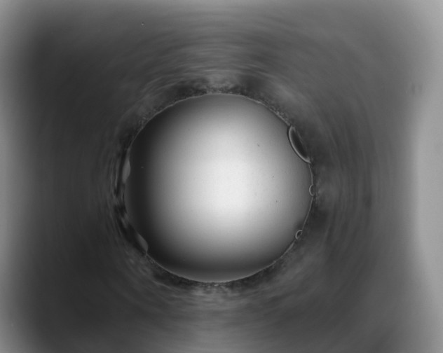 X0000088880866200706151809