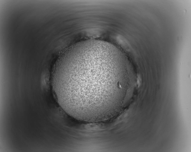 X0000088880867200706151809