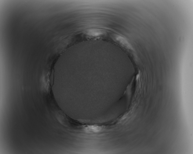 X0000088880868200706151809