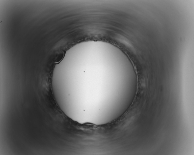 X0000088880869200706151809