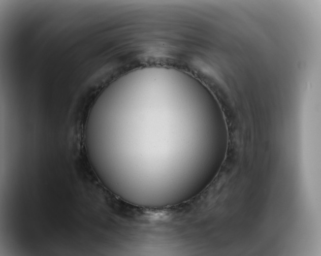 X0000088880870200706151809