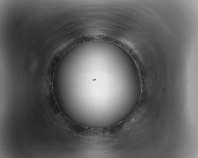 X0000088880871200706151809