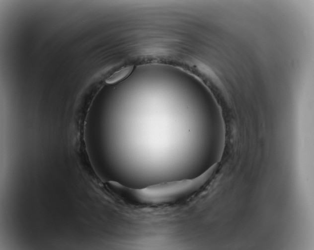 X0000088880872200706151809