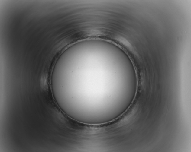 X0000088880873200706151809