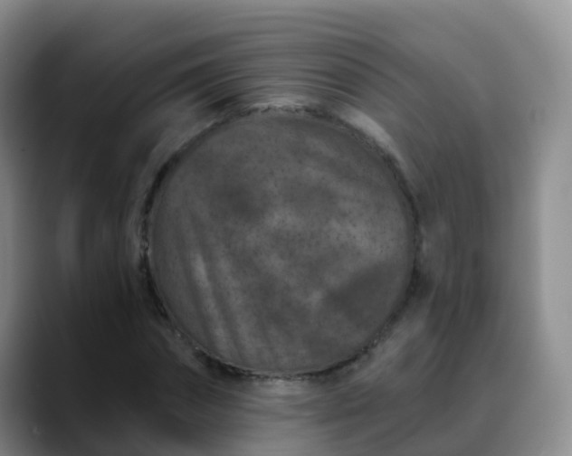 X0000088880874200706151809