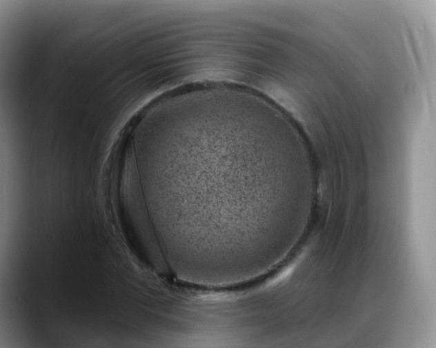 X0000088880877200706151809