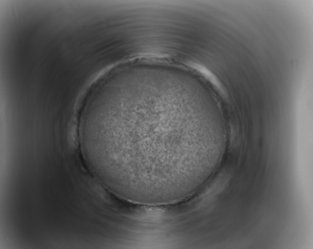 X0000088880878200706151809